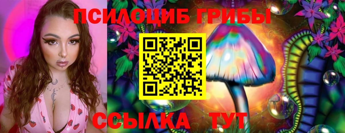 Псилоцибиновые грибы MAGIC MUSHROOMS  Вход с VPN  Новоалтайск  Галлюциногенные грибы прущие грибы 